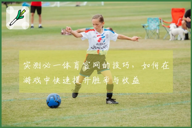 实测必一体育官网的技巧，如何在游戏中快速提升胜率与收益